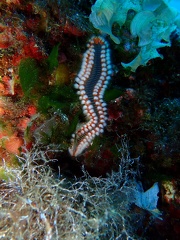 P9080174