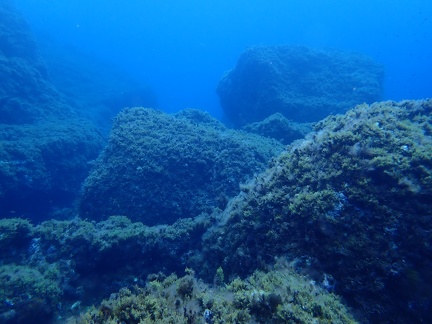 P9100410