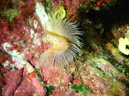 P9100426