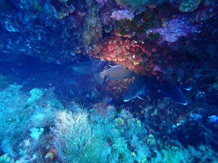 P9100434