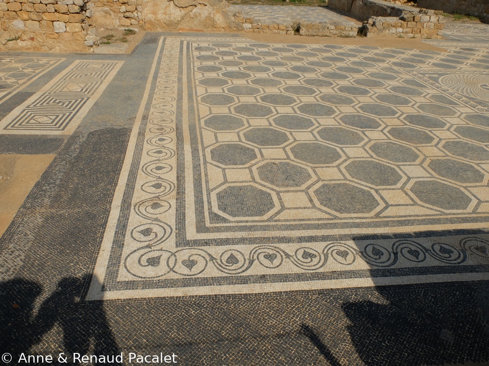 Certaines mosaïques de sol sont admirablement bien conservées et/ou restaurées