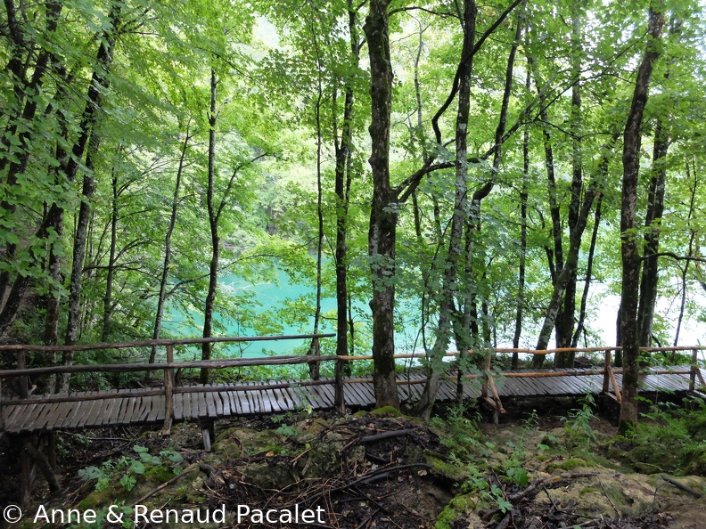 Les passerelles en bois