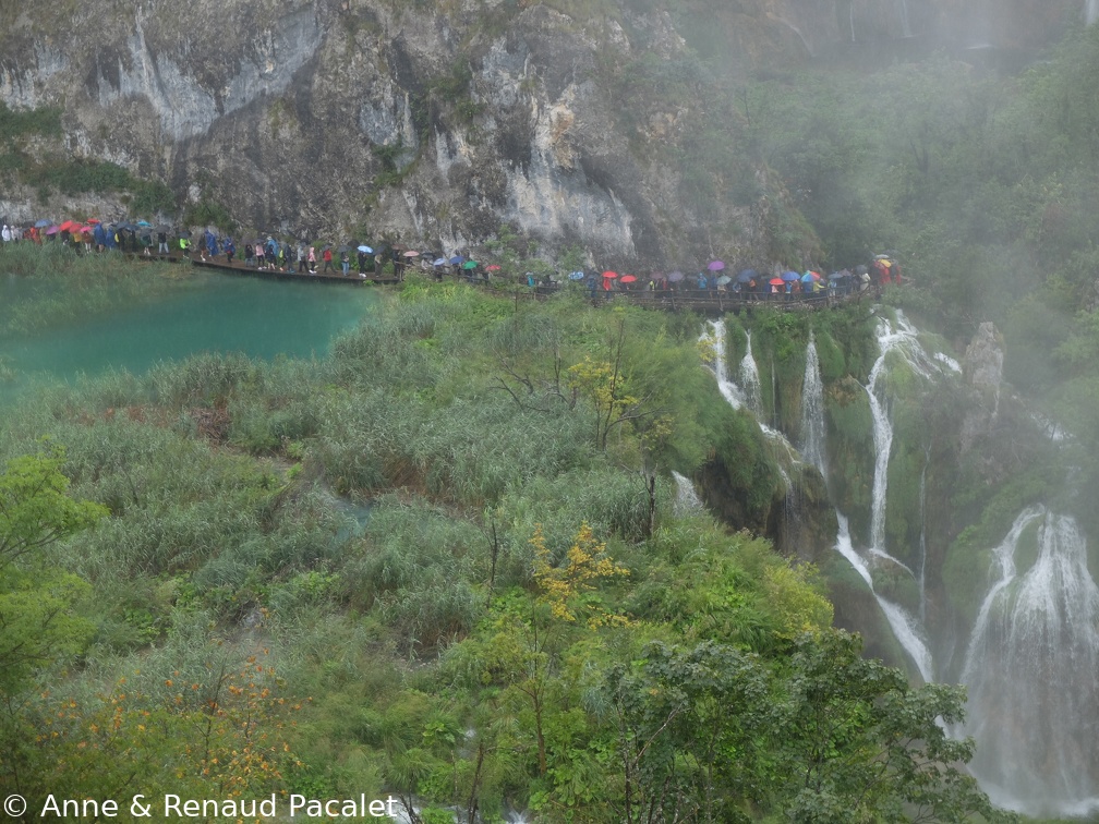 Le défilé multicolore des parapluies et des capes de pluie