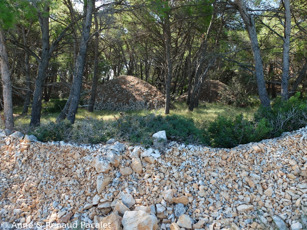 Murs et buttes de pierres sèches dans la forêt de pins maritimes