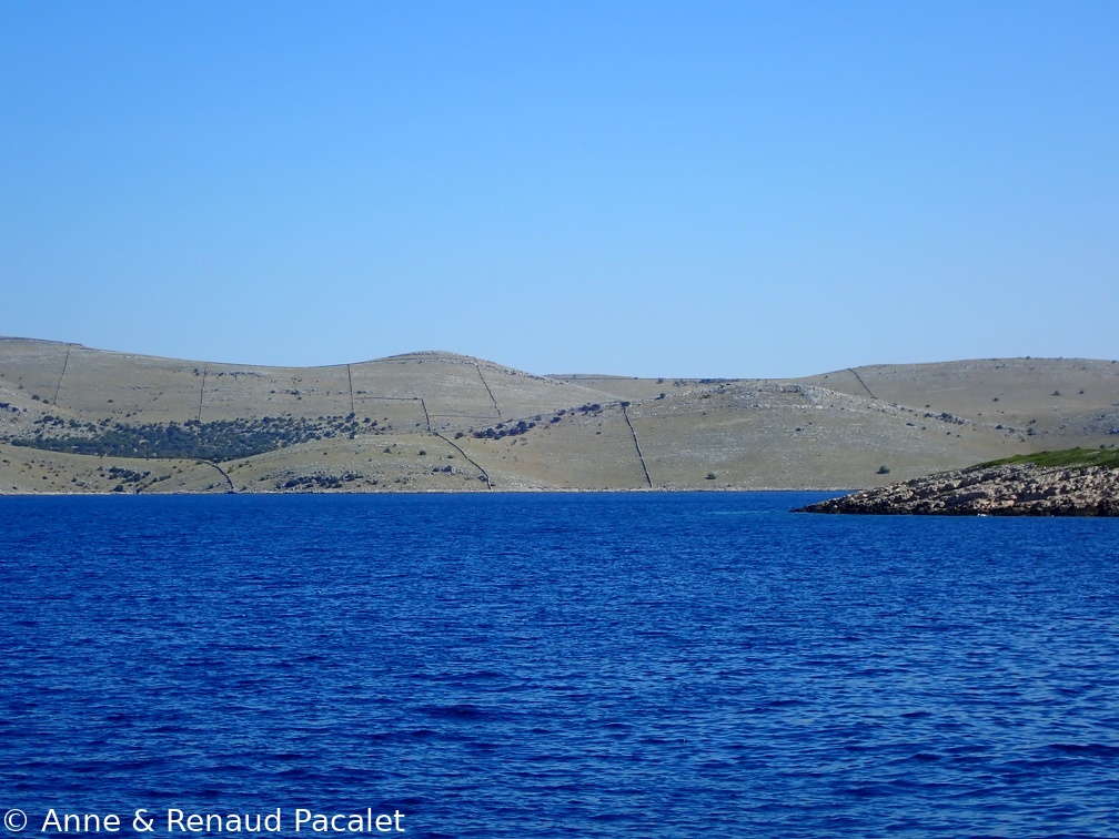 L'île quasi désertique de Kornat et ses centaines de kilomètres de murs de pierres sèches