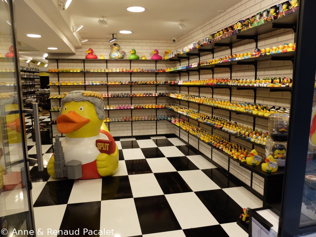 L'un des 3 magasins de canards en plastique