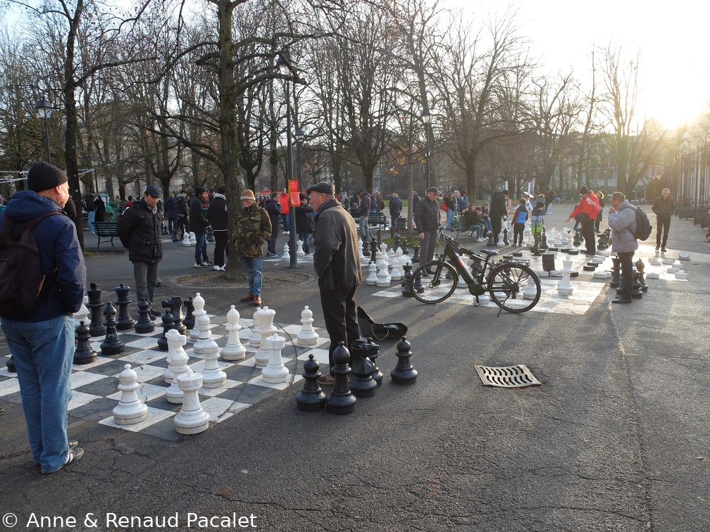 Les joueurs d'échecs au parc des Bastions