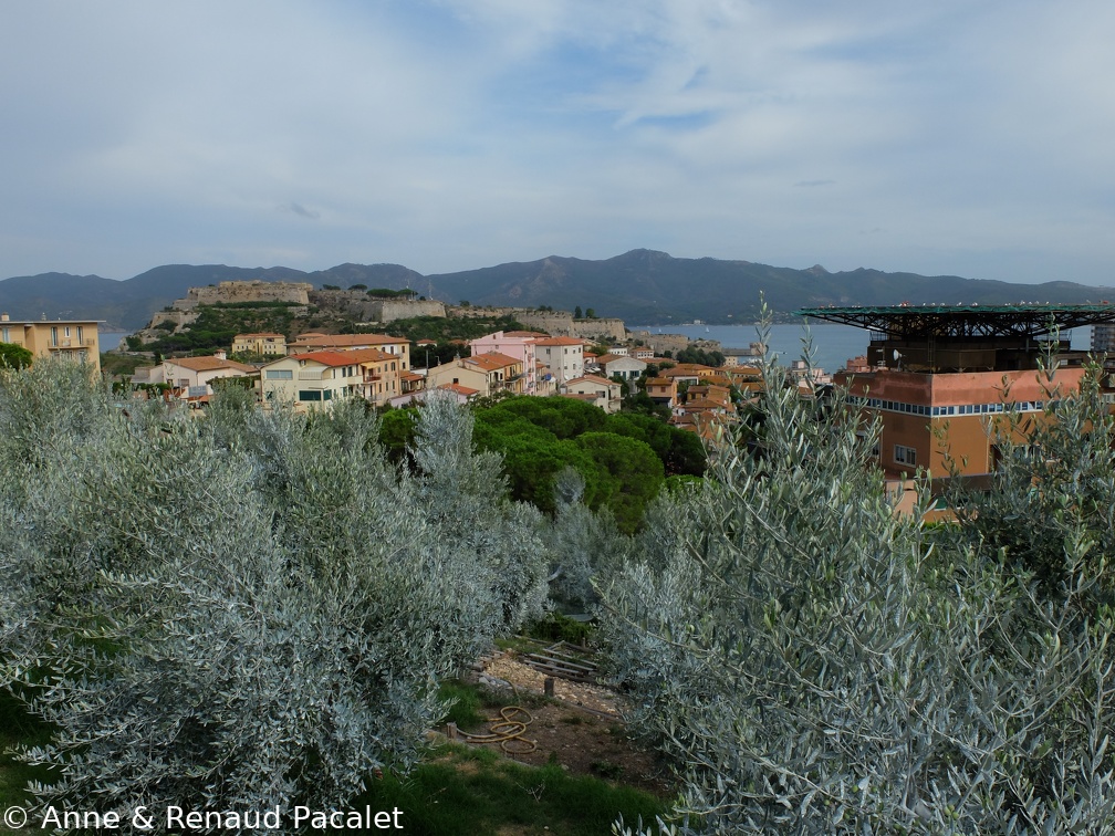 L'hôpital et le Forte Falcone vus depuis la colline du fort anglais (Forte Inglese)