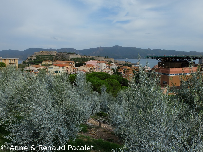 L'hôpital et le Forte Falcone vus depuis la colline du fort anglais (Forte Inglese)