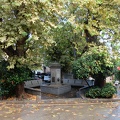 DSCF2438