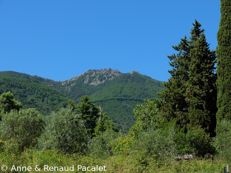 DSCF2516.JPG