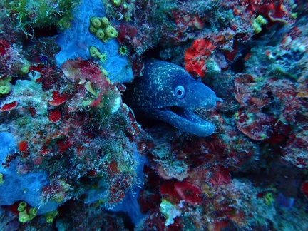 P9100057