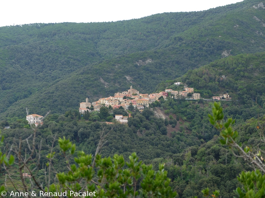 Poggio