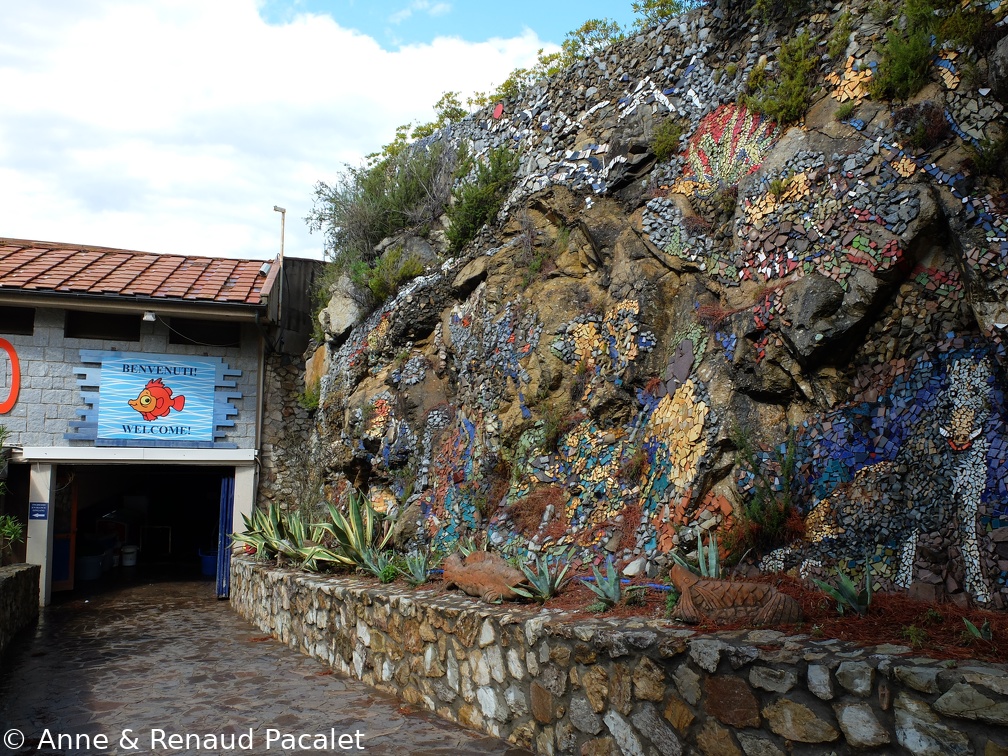 L'entrée de l'aquarium
