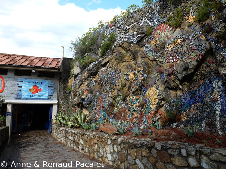 L'entrée de l'aquarium