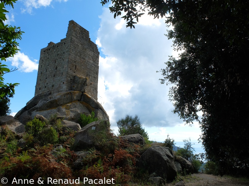 La tour pisane de San Giovani