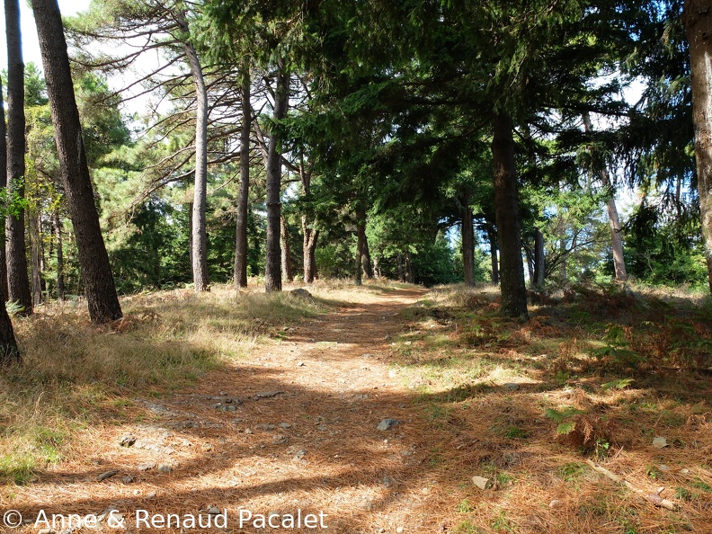 Le début du sentier des papillons