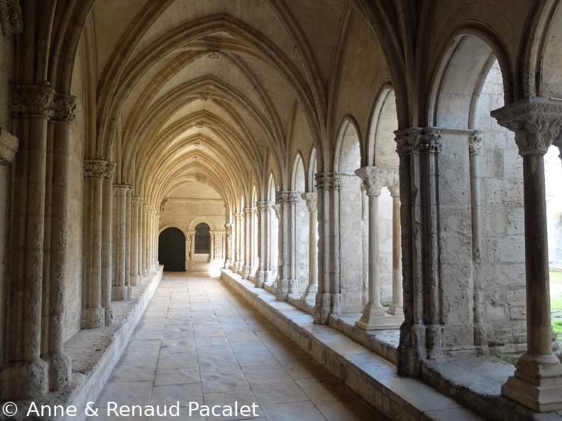 Le cloître de Saint Trophime