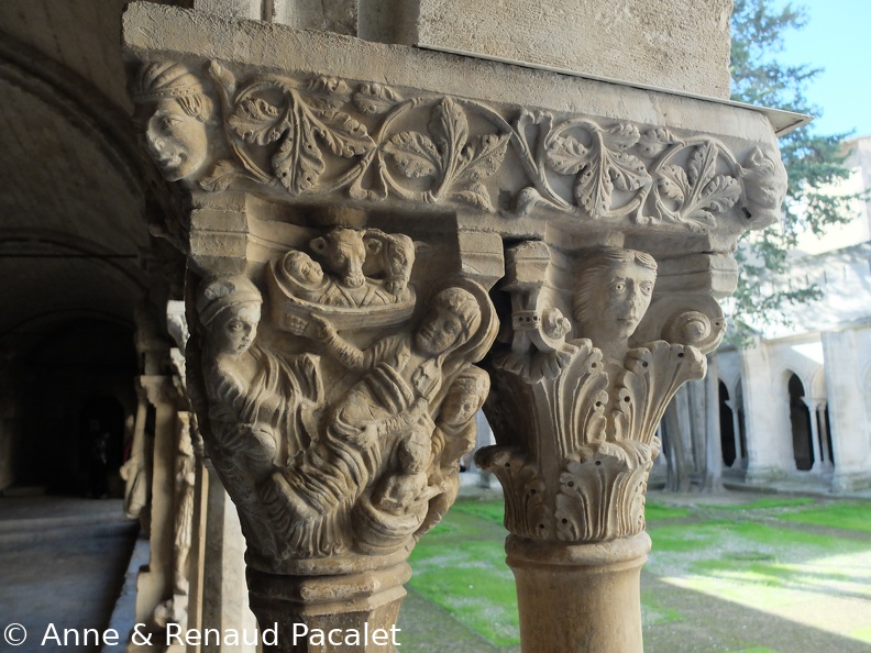 Les BDs de pierre du cloître