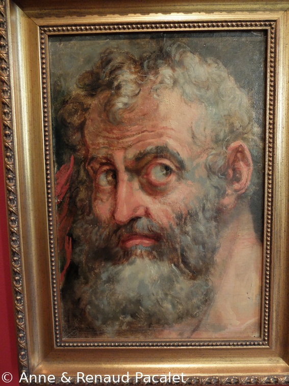 Portrait sans titre par Jacques Réattu, musée Réattu