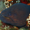 P2040053