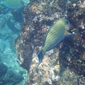 P2080339