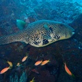 P2090354