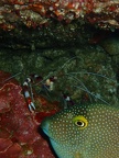 P2070253