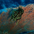 P2040036