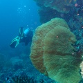 P2090347