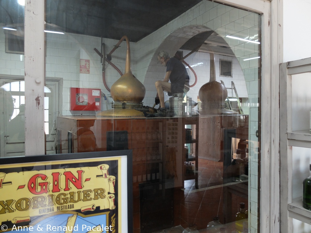 La distillerie de gin Xoriguer