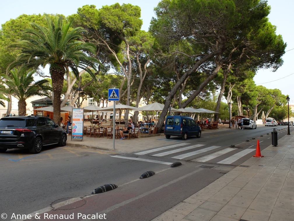 La place des pins (Plaça dels Pins)
