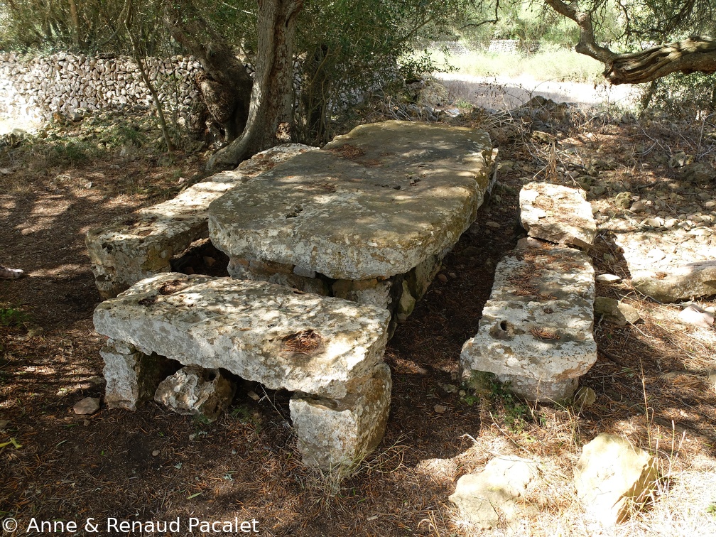 Table et bancs de picnic préhistoriques