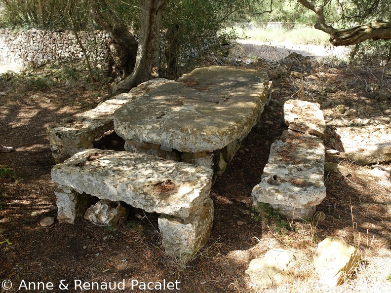 Table et bancs de picnic préhistoriques