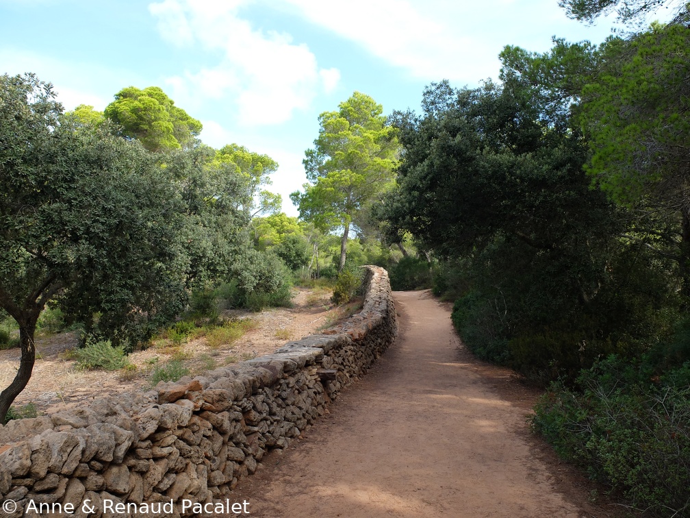 Mur de pierres sèches sur le sentier de la Cala Pilar