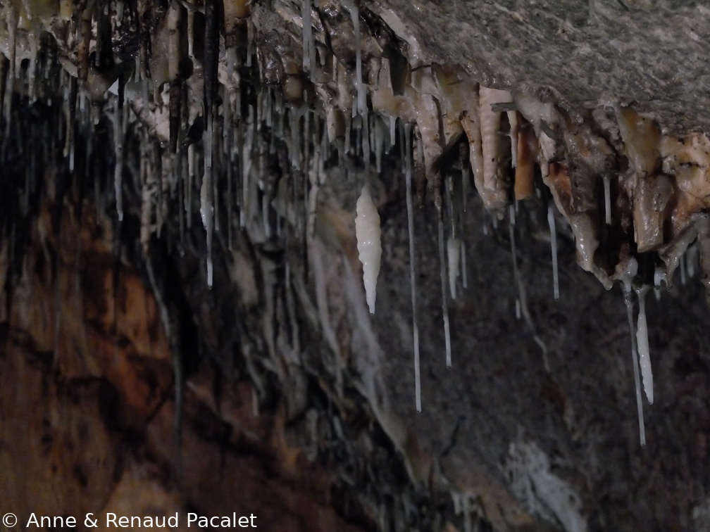 Stalactites