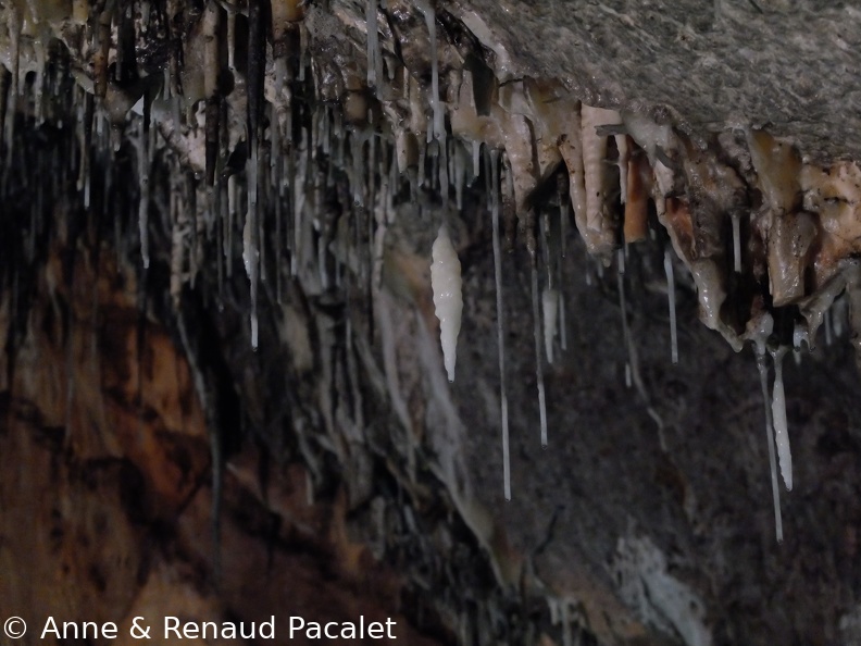 Stalactites