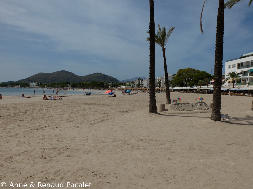 La Platja Gran d'Alcùdia