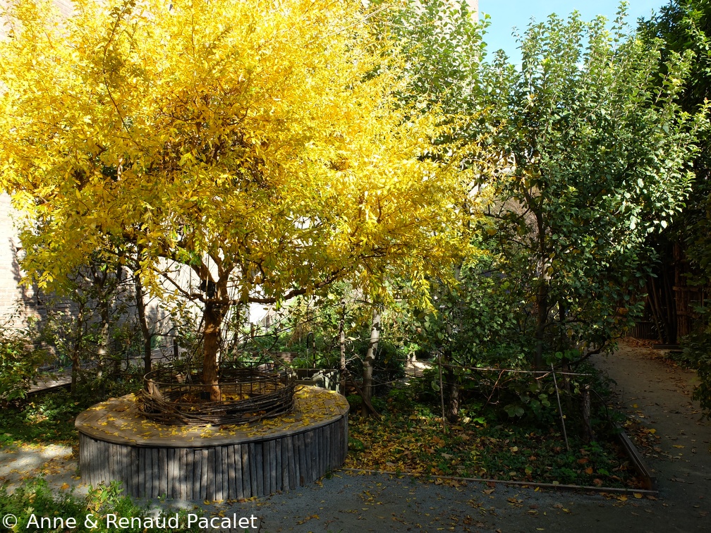 Les jardins du Palazzo Madama