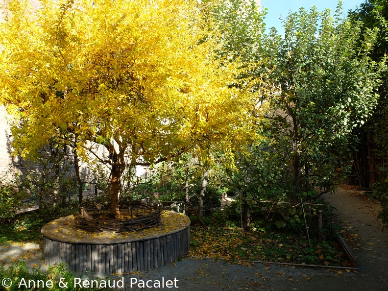 Les jardins du Palazzo Madama