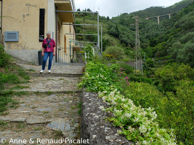 La Casa dei Limoni