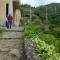 La Casa dei Limoni