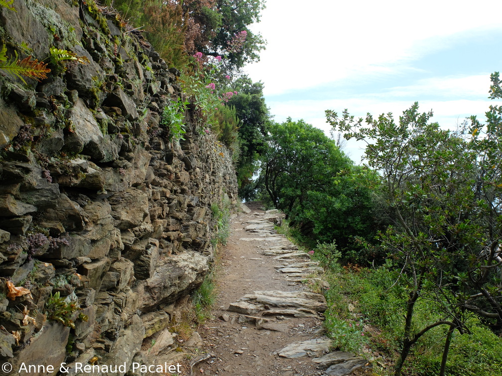 Le sentier vert-azur
