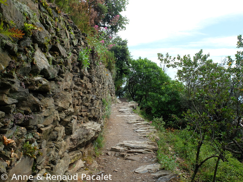 Le sentier vert-azur