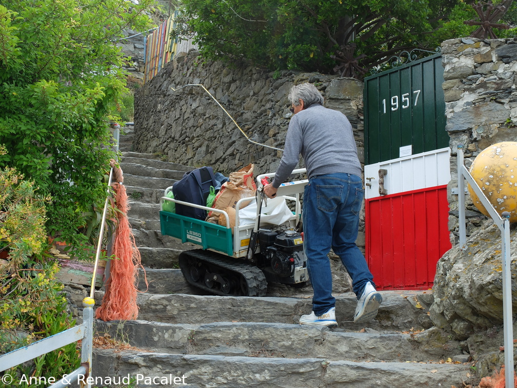 Le porte-charges à chenilles au départ de Vernazza