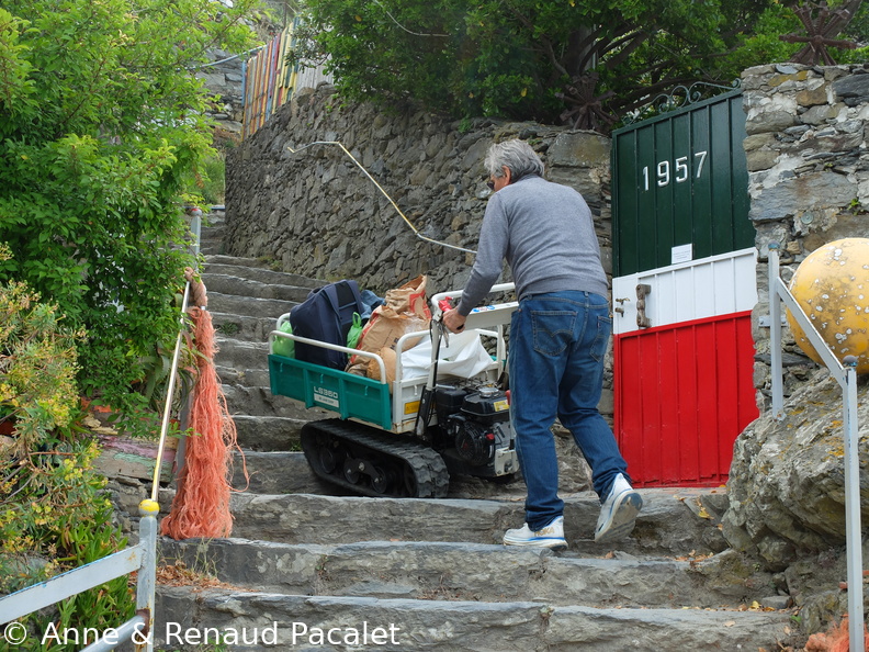 Le porte-charges à chenilles au départ de Vernazza