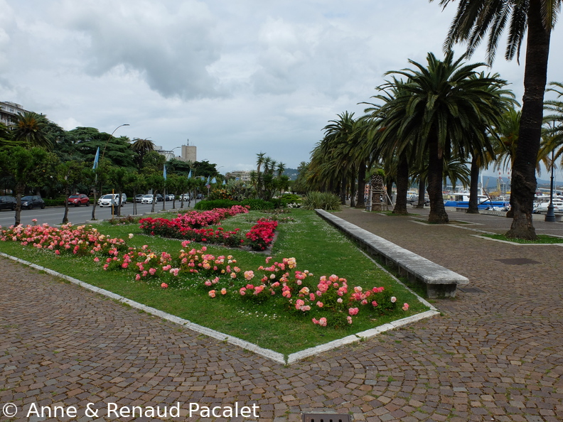 Les parterres de roses et l'allée de palmiers sur les quais de La Spezia