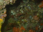 20260828, la Grotta della Ficarella (extérieur)
