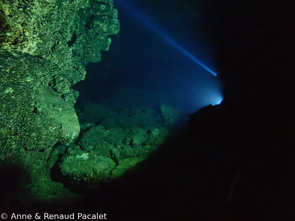 Dans la grotte
