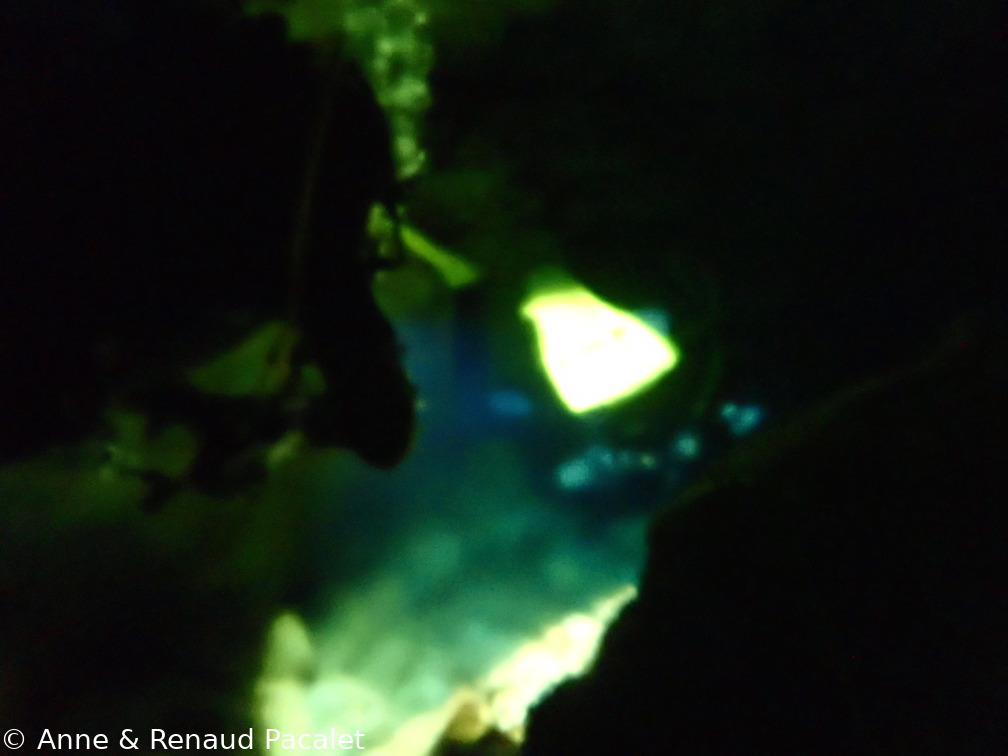 Dans l'halocline (la frontière entre eau salée et eau douce)